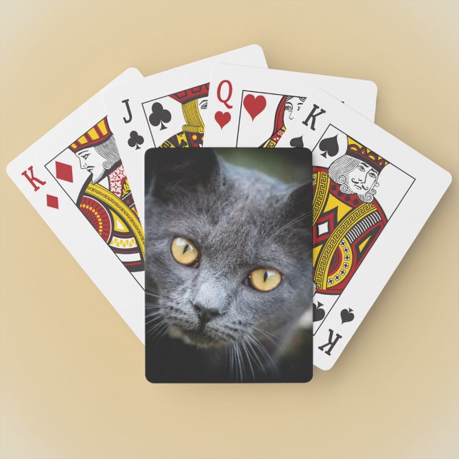 Num-Num - Grannskapskatten Casinokort (Skapare uppladdad)
