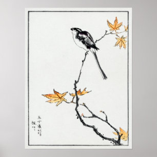 Numata Kashu Japansk långstjärt och maple Poster
