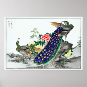 Numata Kashu Peacock och Peony Poster