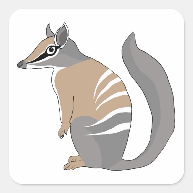 Numbat Fyrkantigt Klistermärke (Framsida)