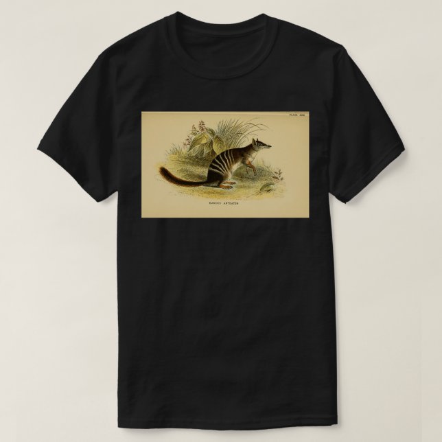 Numbat Myrmecobius fasciatus här som banderoll och T Shirt (Design framsida)