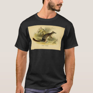Numbat Myrmecobius fasciatus här som banderoll och T Shirt