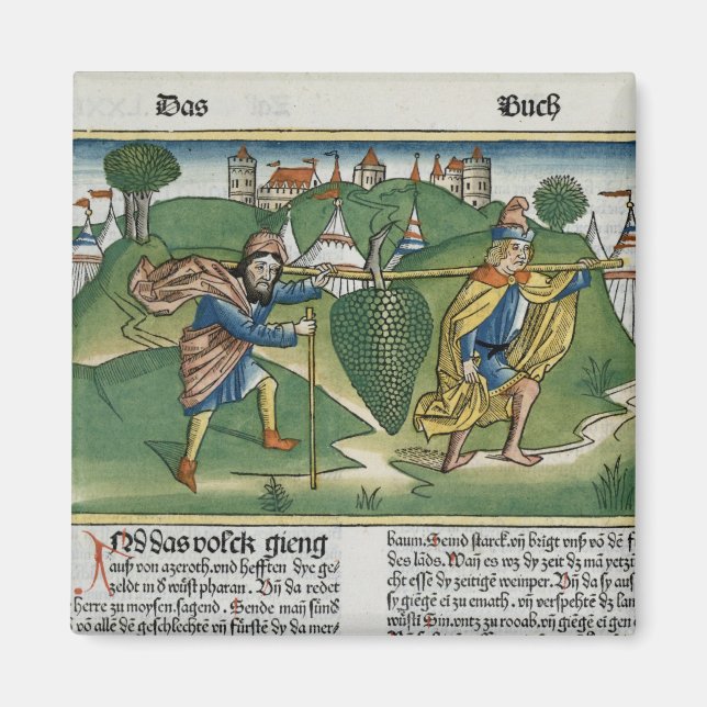 Nummer 13 23 Grafik av Eschol, från naturskön Magnet (Framsidan)