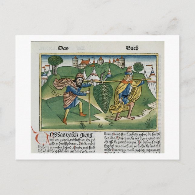 Nummer 13 23 Grafik av Eschol, från naturskön Vykort (Framsida)