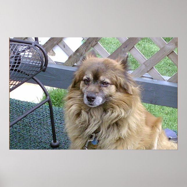 Nummer 1 son poster (Framsidan)