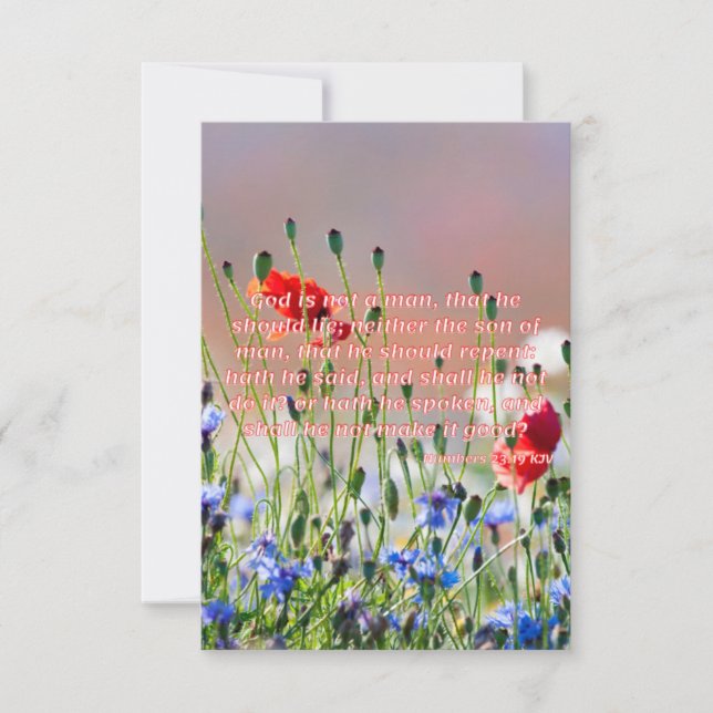 Nummer 23:19 KJV Bible Verse Pic Flat Hälsning Kort (Framsida)