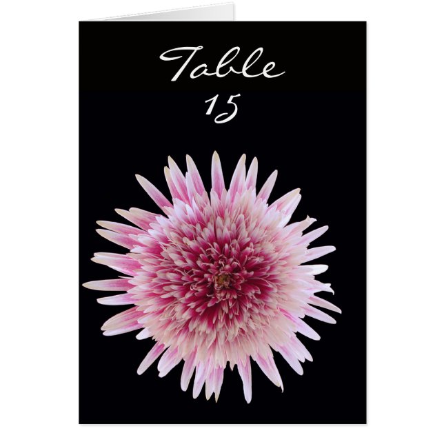 Nummerkort för bröllop i Bord - Anpassningsbar num OBS Kort (Framsidan)