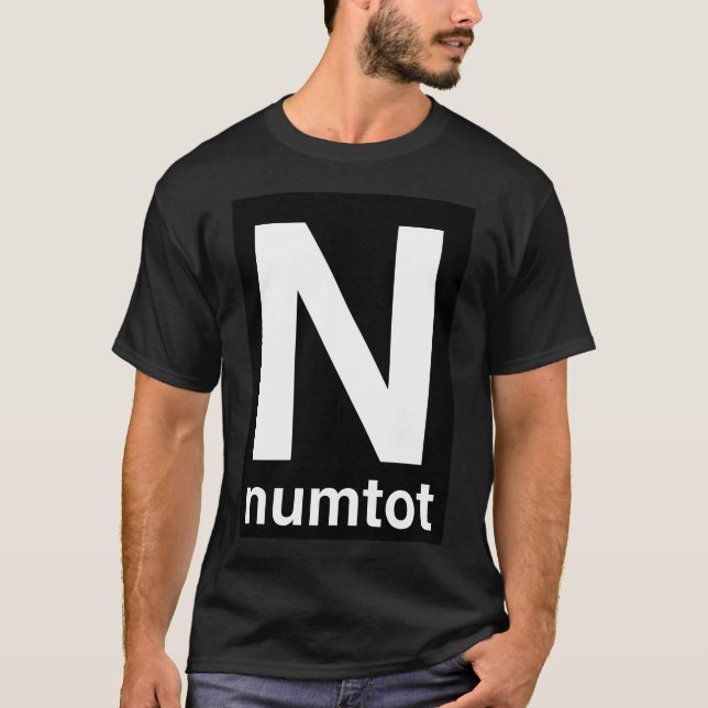 Numtot Transit T Shirt (Framsida)