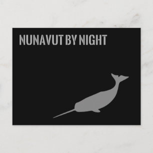 Nunavut by Night Vykort