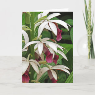 Nunna Orchid blomstrar hälsningkortet Kort