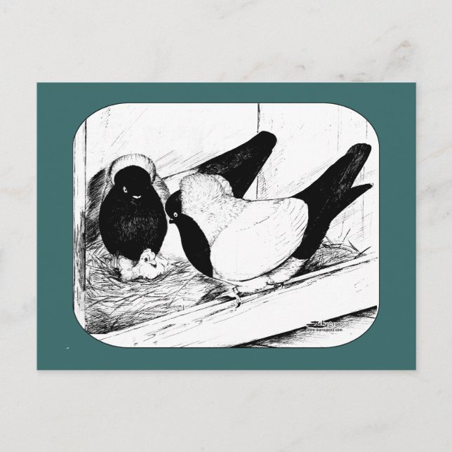 Nunnor 1980 vykort (Framsida)