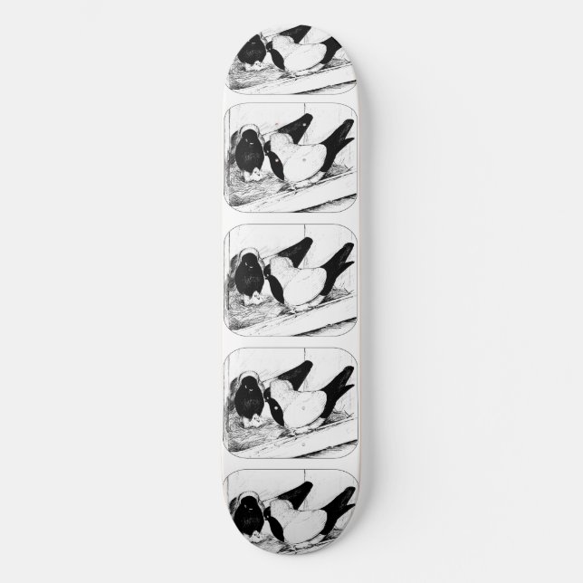 Nuns 1980 old school skateboard bräda 21,6 cm (Framsida)
