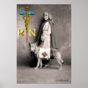 NURSE OCH RÄDDING HUND /Guld Caduceus RN Emblem Poster