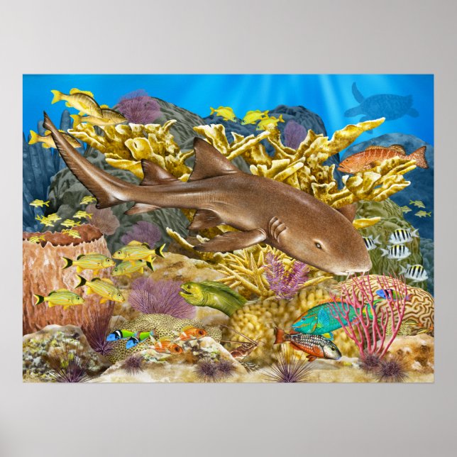 Nurse Shark over Coral Reef Poster (Framsidan)