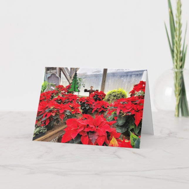 Nursery poinsettias kort (Framsida)