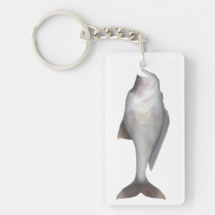 Nurseryfish