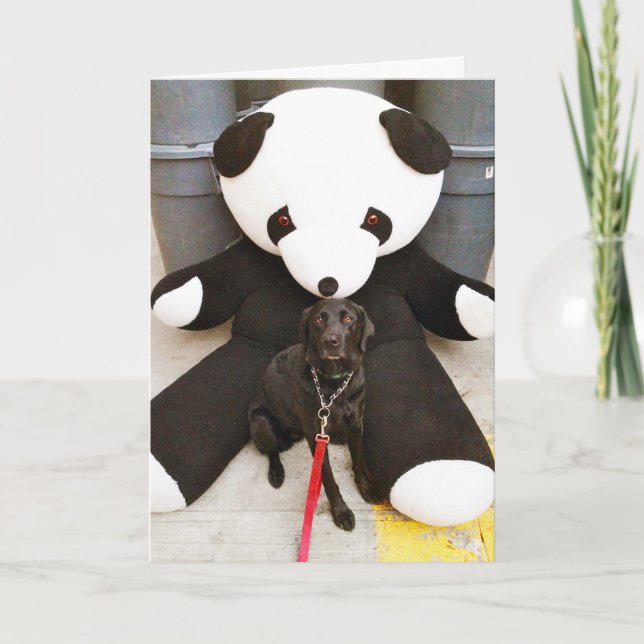 Nurturen är inte av naturen kort (Framsida)