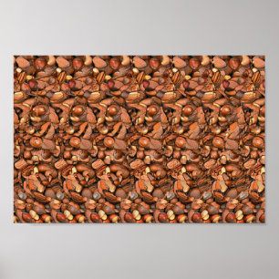 Nutcracker-ekorre - Gömt 3D-utskrift Poster