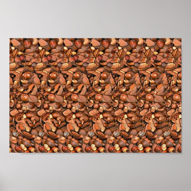 Nutcracker-ekorre - Gömt 3D-utskrift Poster (Framsidan)