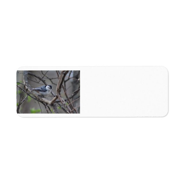 Nuthatch-adressetikett Returadress Etikett (Framsidan)