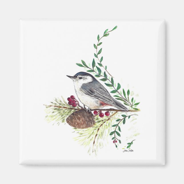 Nuthatch Bird Art Magnet (Framsidan)