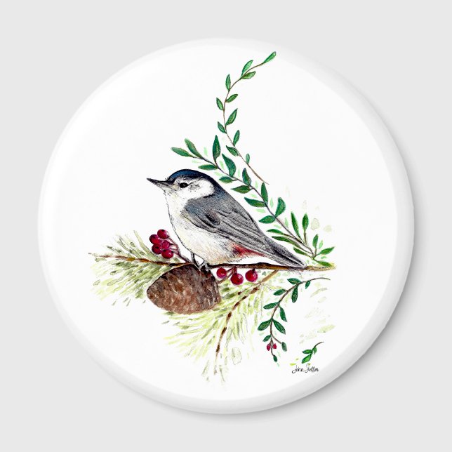 Nuthatch Bird Art Magnet (Nuthatch Bird Art Magnet from Jenn Steffen Art)