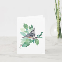 Nuthatch Bird Kort