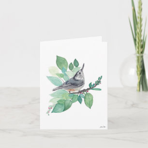 Nuthatch Bird Kort