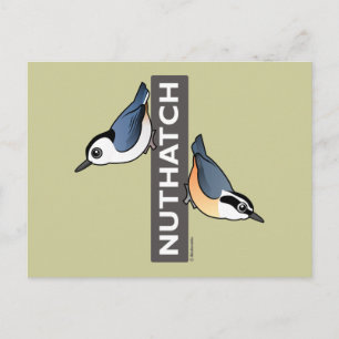 Nuthatch Fläkt Vykort