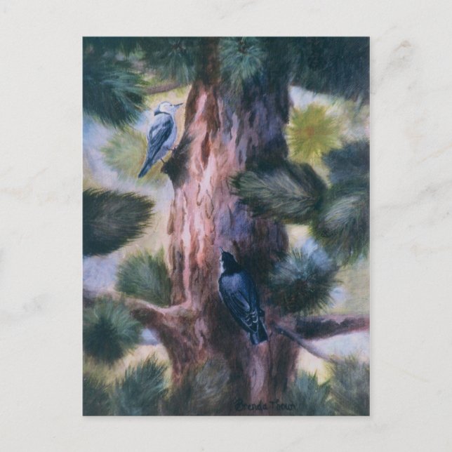Nuthatch Kärlek vid första synen Vykort (Framsida)