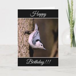 Nuthatch-kort för personlig Grattis på födelsedage Kort