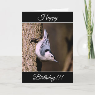Nuthatch-kort för personlig Grattis på födelsedage Kort