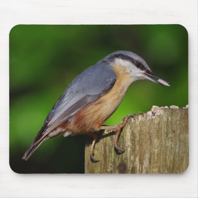 Nuthatch Mousepad Musmatta (Framsidan)