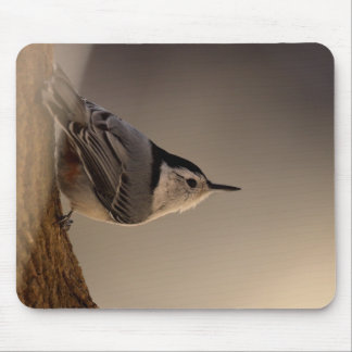 Nuthatch_Mousepad Musmatta