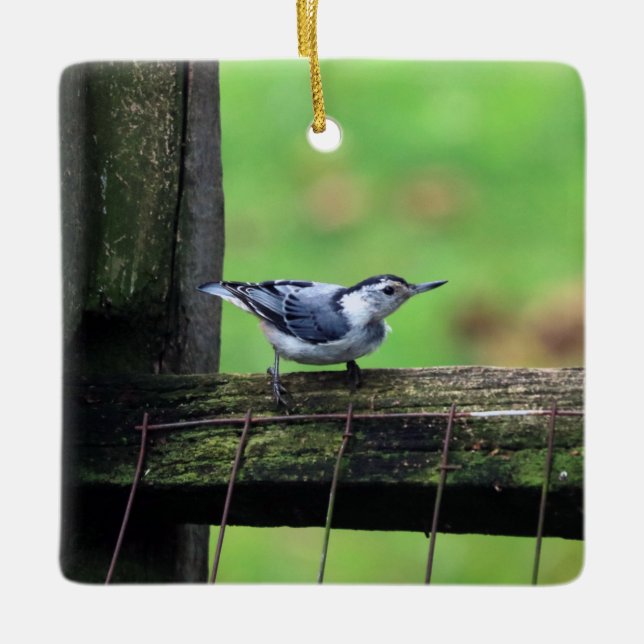 Nuthatch Ornament (Framsida)