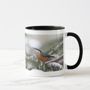 Nuthatch på snöig gren i vinter mugg