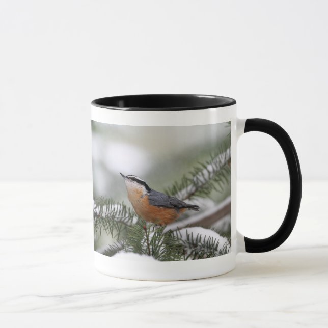 Nuthatch på snöig gren i vinter mugg (Höger)