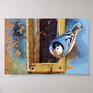 Nuthatch Poster