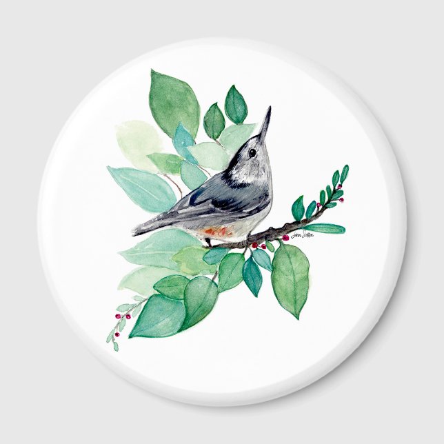 Nuthatch vid Gren Magnet (Nuthatch On Branch Magnet by Jenn Steffen Art)
