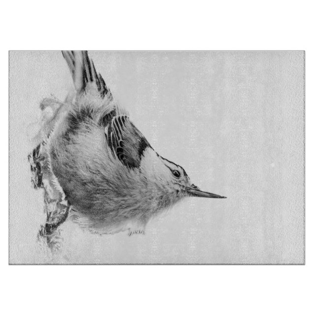 Nuthatch, vit fågelfotografi (Framsidan)