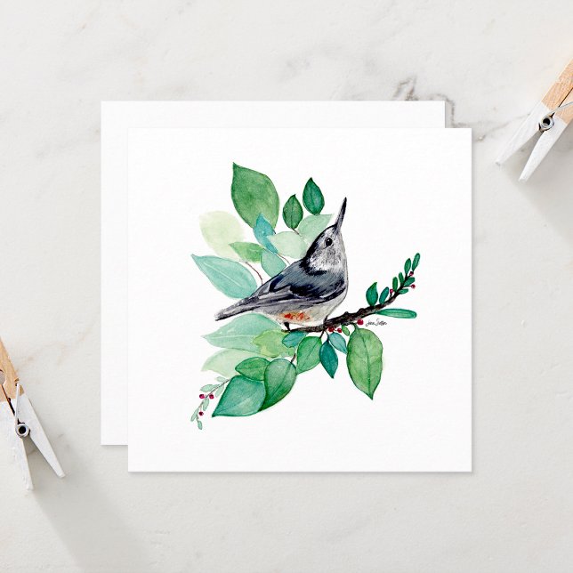 Nuthatch Watercolor Note-kort (Nuthatch Elegant Watercolor blank square note cards from Jenn Steffen Art)