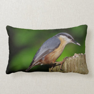 Nuthatchen dämpar lumbarkudde