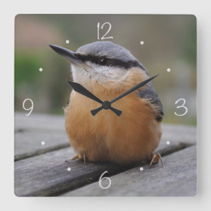 Nuthatchfoto Fyrkantig Klocka