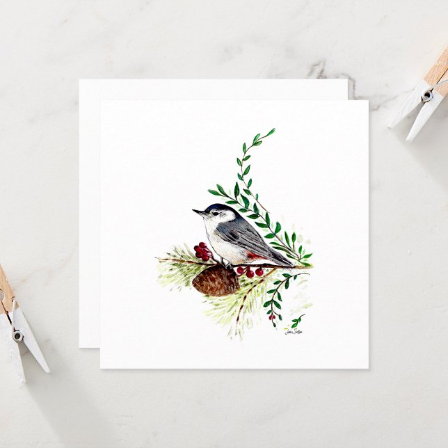 Nuthatrisk, vackert vattenfärgskort (Beautiful Nuthatch Watercolor Blank Note Cards from Jenn Steffen Art)