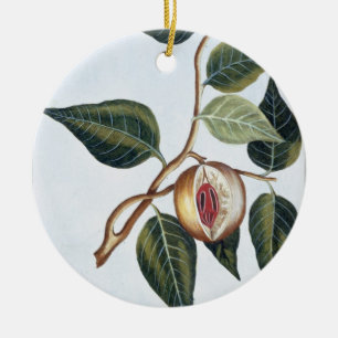 Nutmeg pläterar 7, från 'samlingen Precieuse et Julgransprydnad Keramik