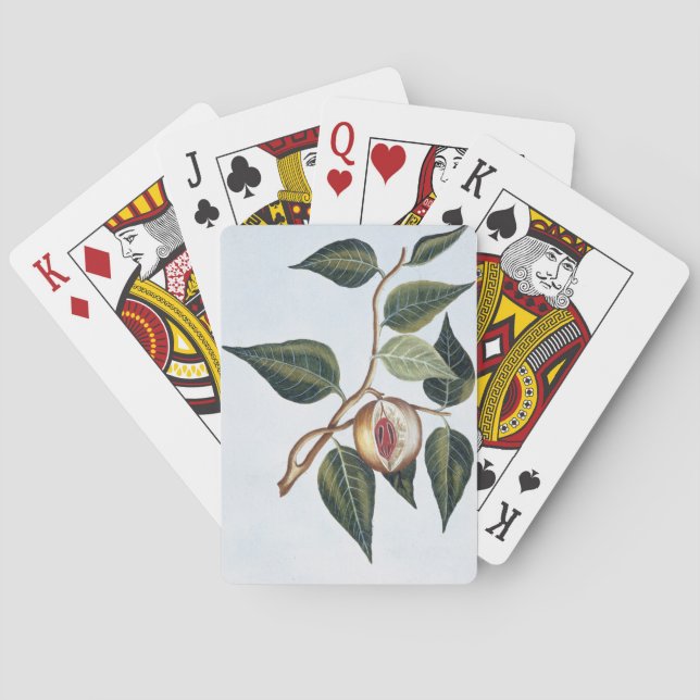 Nutmeg pläterar 7, från 'samlingen Precieuse et Kortlek (Baksidan)