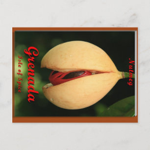 Nutmeg Vykort