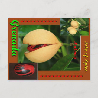Nutmeg-vykort Vykort