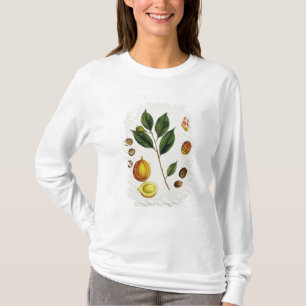 Nutmegen, pläterar 353 från "ett nyfiket växt-" tee shirt