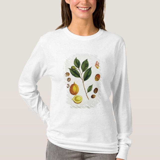 Nutmegen, pläterar 353 från "ett nyfiket växt-", tee shirt (Framsida)